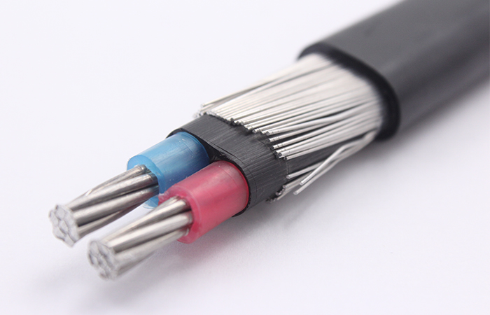 Conductor de aluminio de aislamiento XLPE PVC de cocnentric cable 3x10 + 10 3x16 + 16 4x10, 4x16, 4x18